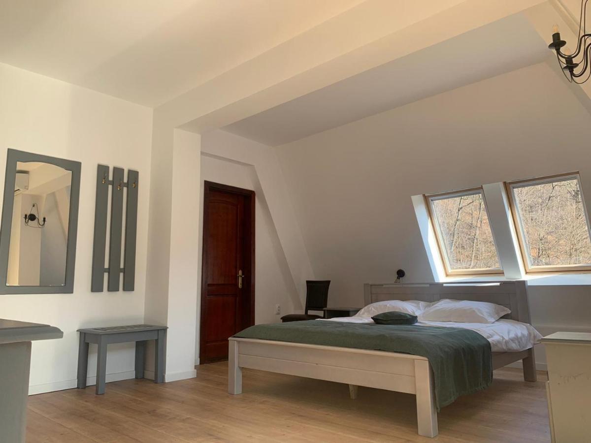 Pension Casa Vanatorilor Бэи­ле-Олэ­неш­ти Экстерьер фото