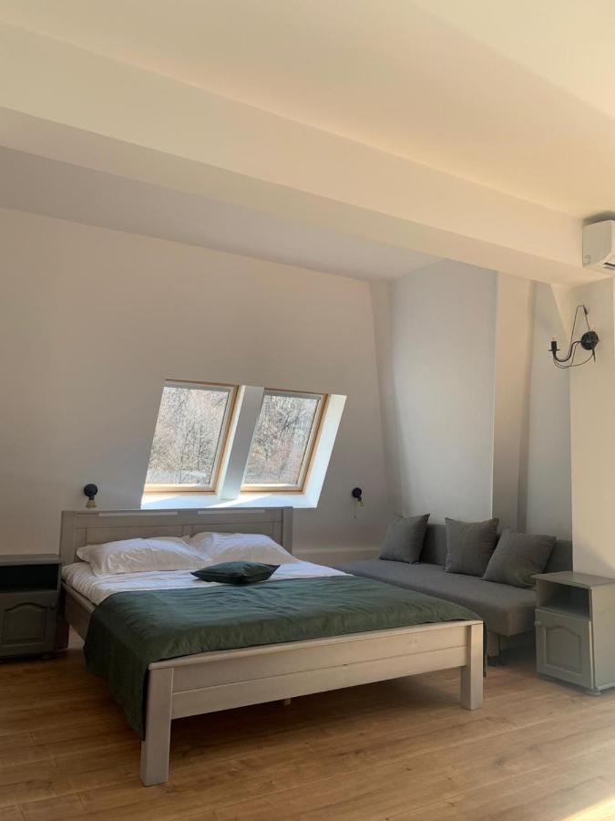 Pension Casa Vanatorilor Бэи­ле-Олэ­неш­ти Экстерьер фото