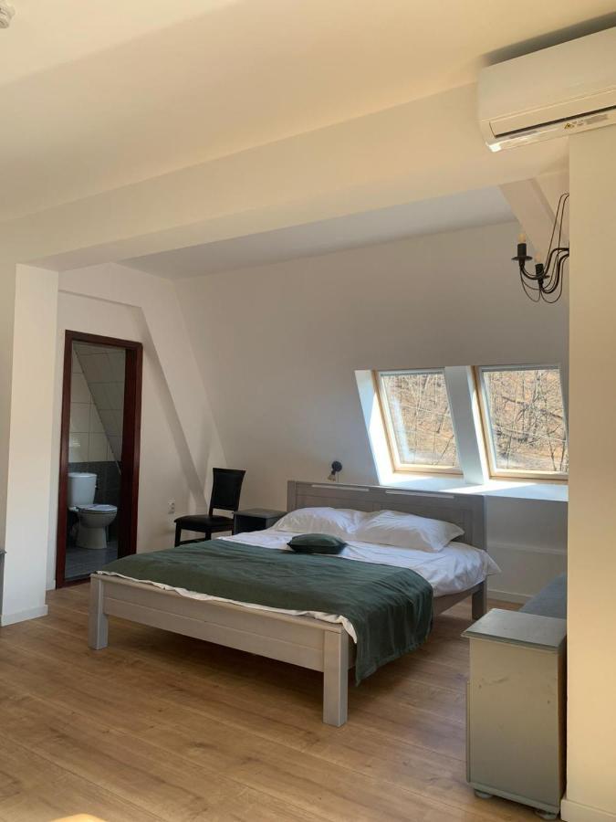 Pension Casa Vanatorilor Бэи­ле-Олэ­неш­ти Экстерьер фото
