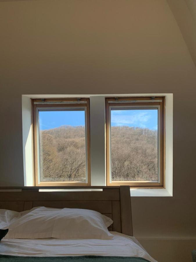 Pension Casa Vanatorilor Бэи­ле-Олэ­неш­ти Экстерьер фото
