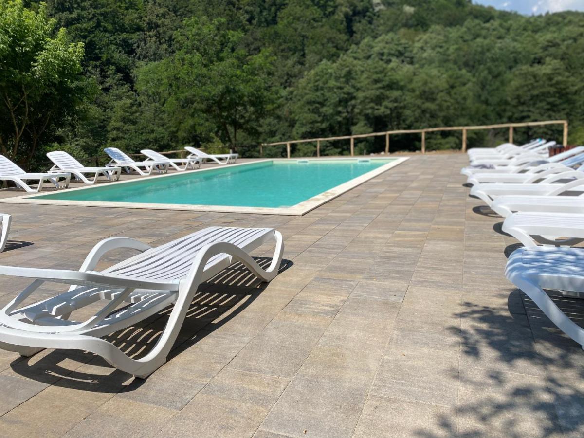 Pension Casa Vanatorilor Бэи­ле-Олэ­неш­ти Экстерьер фото
