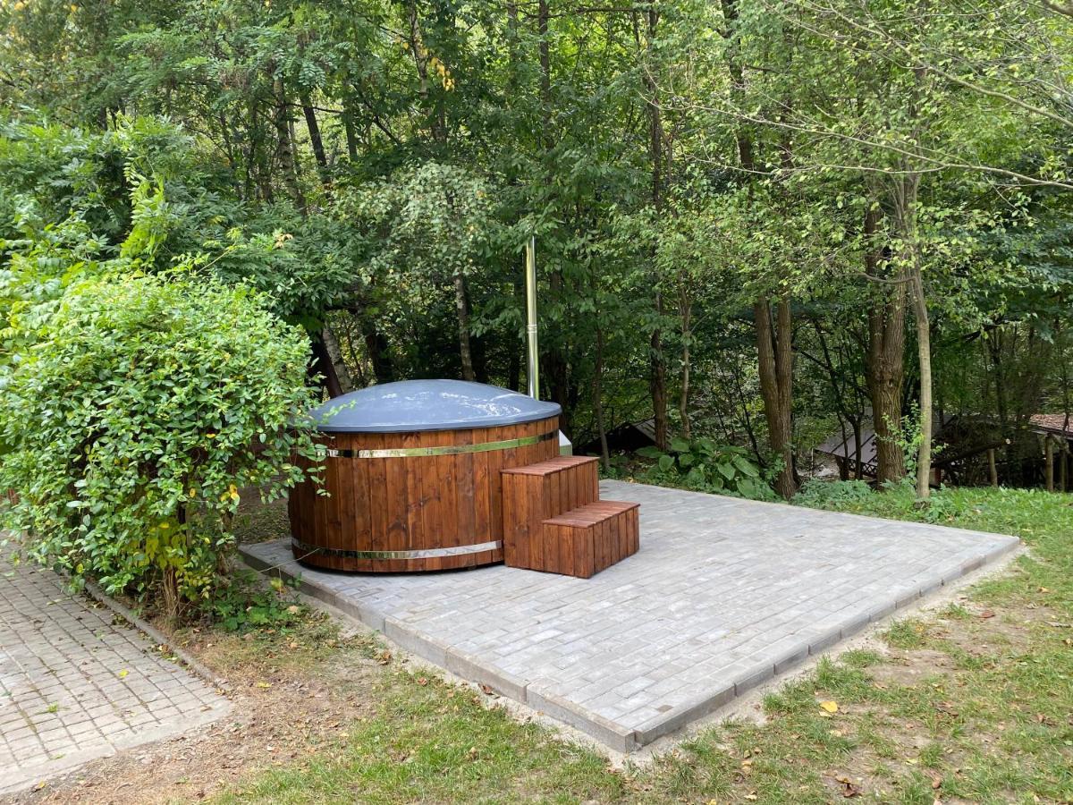 Pension Casa Vanatorilor Бэи­ле-Олэ­неш­ти Экстерьер фото