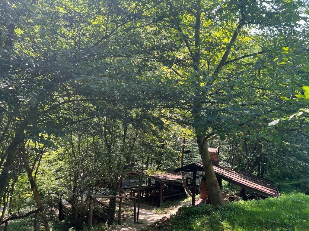 Pension Casa Vanatorilor Бэи­ле-Олэ­неш­ти Экстерьер фото