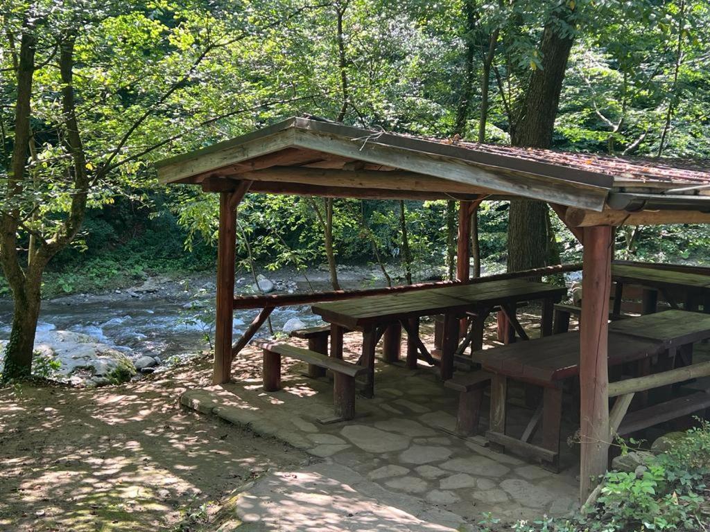 Pension Casa Vanatorilor Бэи­ле-Олэ­неш­ти Экстерьер фото