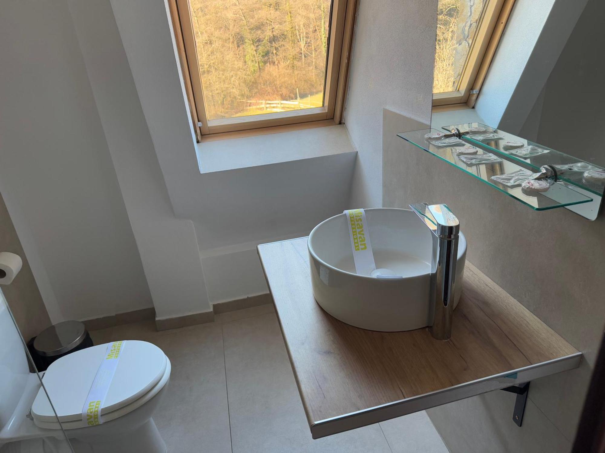 Pension Casa Vanatorilor Бэи­ле-Олэ­неш­ти Экстерьер фото