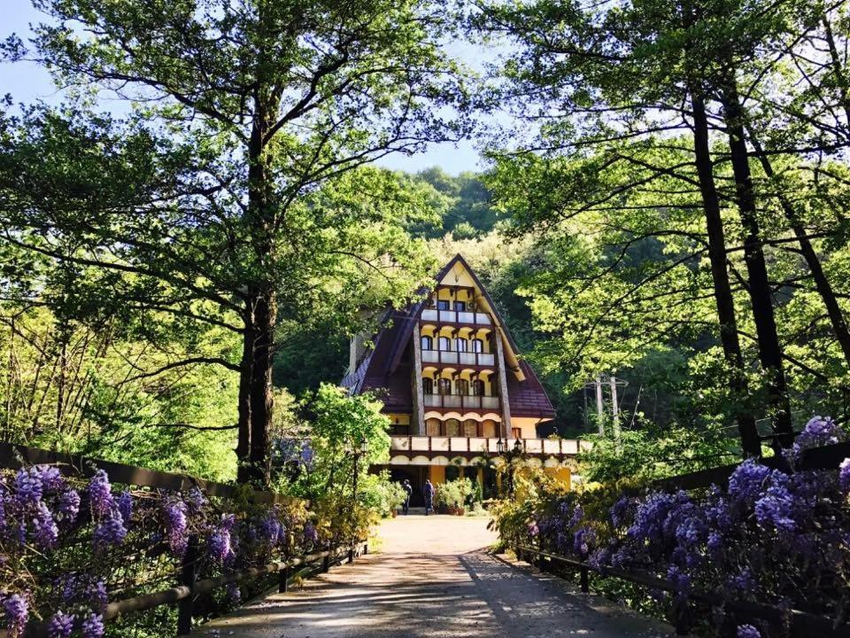 Pension Casa Vanatorilor Бэи­ле-Олэ­неш­ти Экстерьер фото