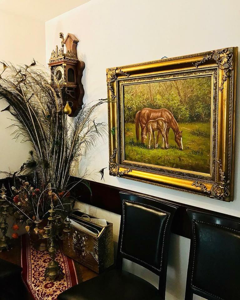 Pension Casa Vanatorilor Бэи­ле-Олэ­неш­ти Экстерьер фото