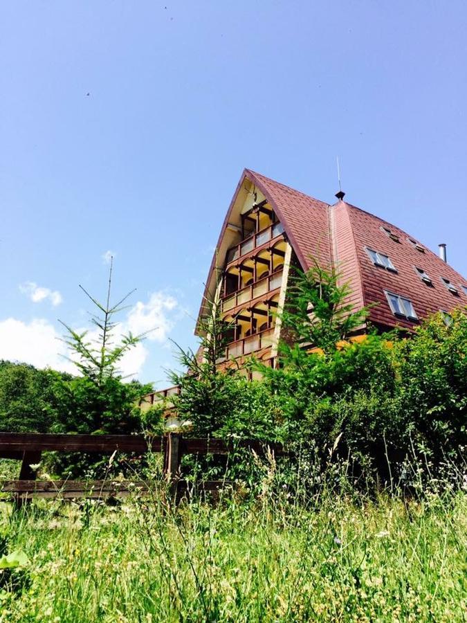 Pension Casa Vanatorilor Бэи­ле-Олэ­неш­ти Экстерьер фото