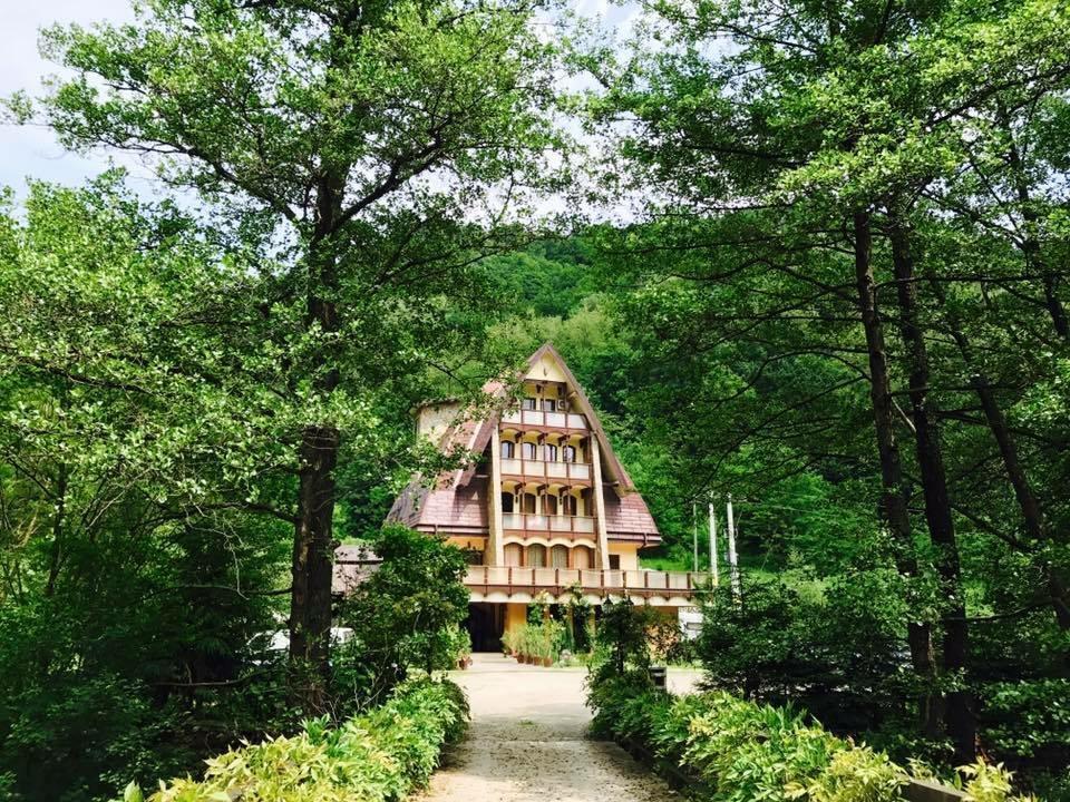 Pension Casa Vanatorilor Бэи­ле-Олэ­неш­ти Экстерьер фото