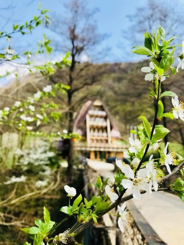 Pension Casa Vanatorilor Бэи­ле-Олэ­неш­ти Экстерьер фото