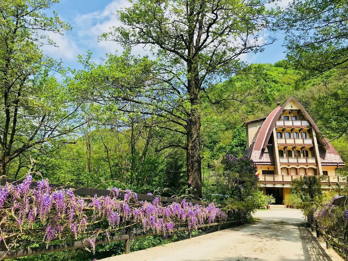 Pension Casa Vanatorilor Бэи­ле-Олэ­неш­ти Экстерьер фото