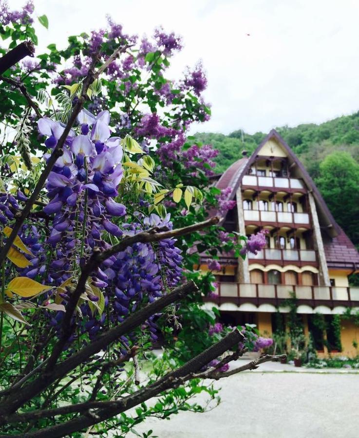 Pension Casa Vanatorilor Бэи­ле-Олэ­неш­ти Экстерьер фото