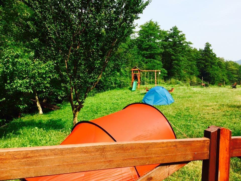 Pension Casa Vanatorilor Бэи­ле-Олэ­неш­ти Экстерьер фото