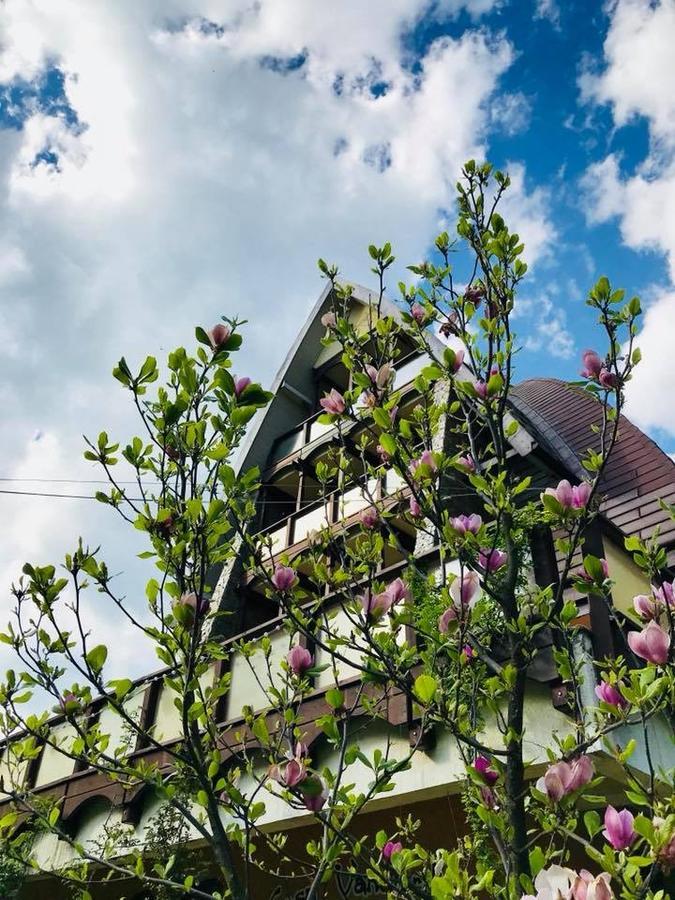 Pension Casa Vanatorilor Бэи­ле-Олэ­неш­ти Экстерьер фото